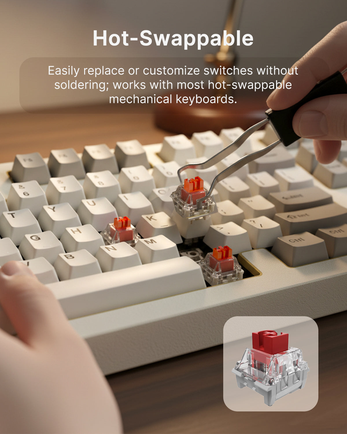 RAEGR Mechanical Keyboard Red Switches (4 Pack) with 1 Switch Puller Tool