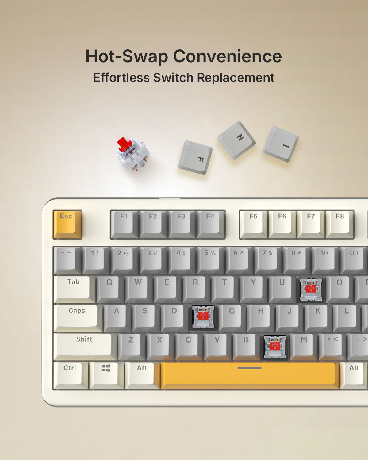 RAEGR MechGear X100 Mechanical Gaming Keyboard
