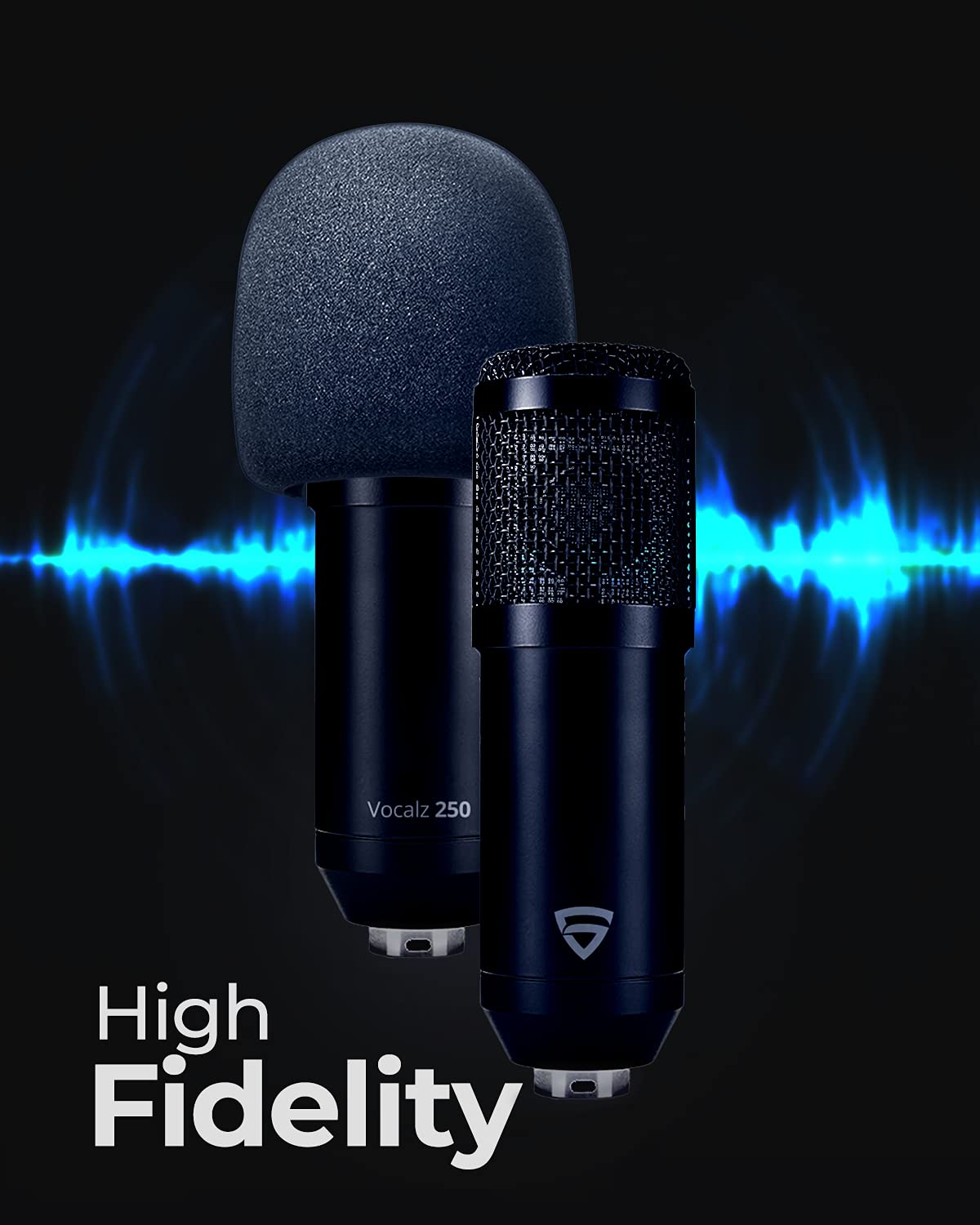 RAEGR Condenser Microphone Vocalz 250 Mic Kit