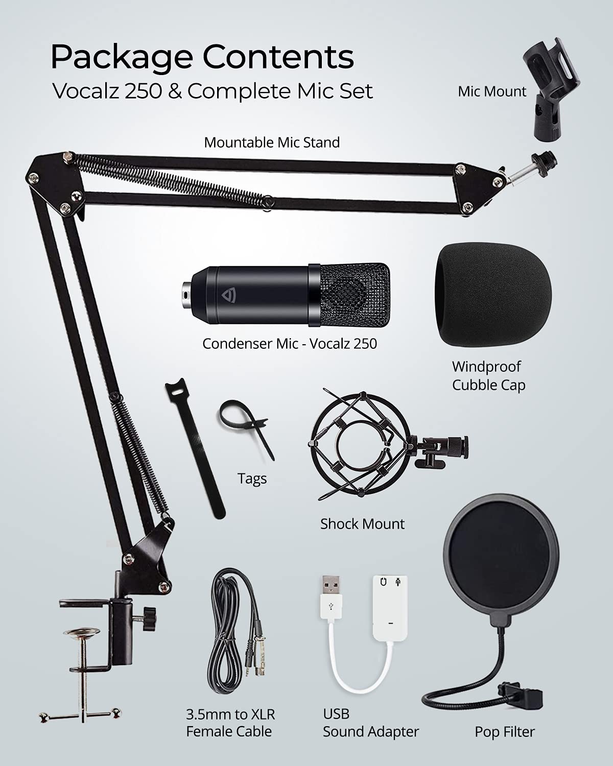 RAEGR Condenser Microphone Vocalz 250 Mic Kit
